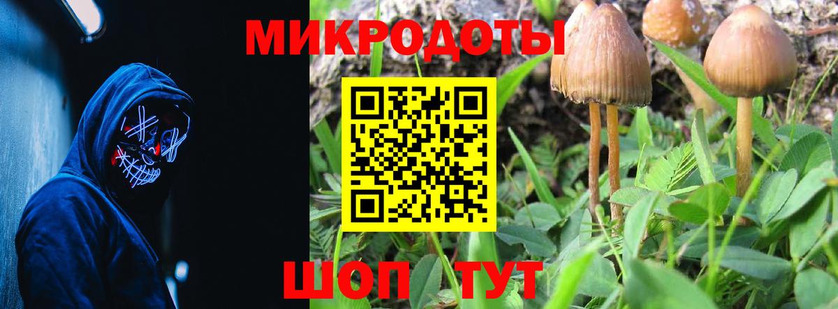 Псилоцибиновые грибы Cubensis  Вход с VPN  Галлюциногенные грибы мицелий  Хасавюрт 