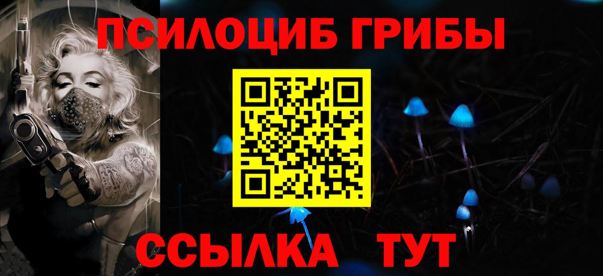 Псилоцибиновые грибы мицелий Хасавюрт